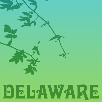 Delaware+Pro
